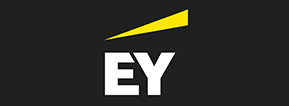 ERNST YOUNG FİNANSMAN DANIŞMANLIK A.Ş.